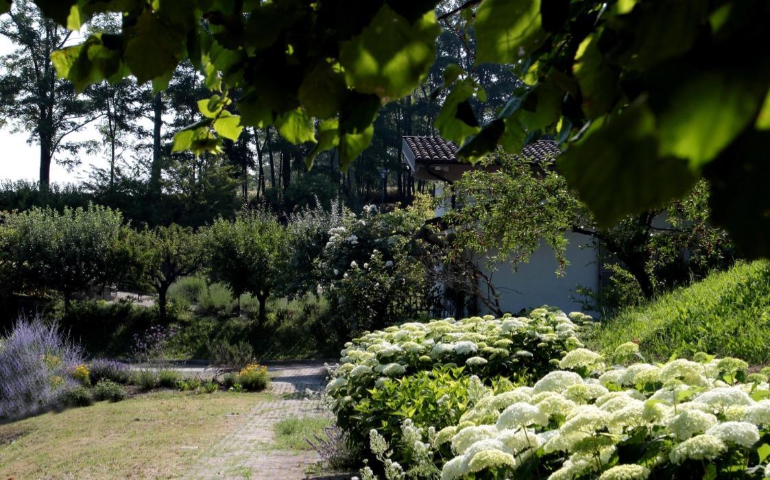 Il Borgo Delle Grazie Villa Ovada Bagian luar foto